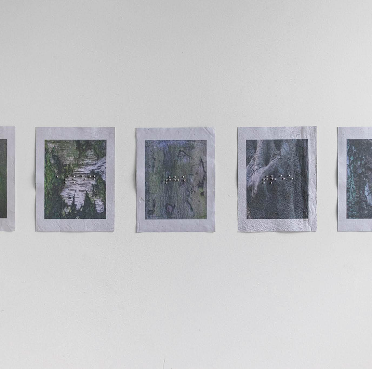 nobody asked the trees